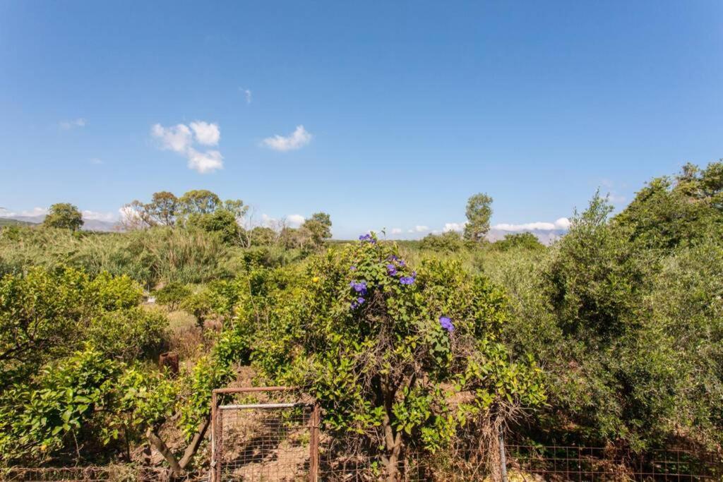 Kaktos 1 Villa Kíssamos Dış mekan fotoğraf
